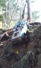 20151029_163924.jpg