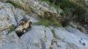 DSC00093.JPG