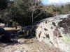 SPOT montolieu 3.jpg