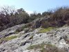 SPOT montolieu 8.jpg