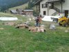 20160818_115836.jpeg