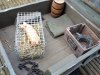 thumbnail_IMG_20190428_193109769.jpg