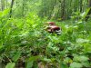 thumbnail_IMG_20190501_135240632.jpg