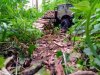 thumbnail_IMG_20190518_165455960.jpg