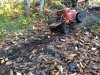 thumbnail_IMG_20191117_114910464.jpg
