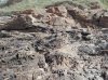 20160424_101906 az.jpg