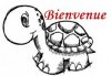 upload_2020-1-28_12-46-20.jpeg