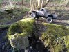 thumbnail_IMG_20200312_162936246.jpg