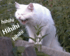 upload_2020-4-14_0-30-54.gif