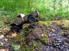 thumbnail_IMG_20200823_18083885777.jpg