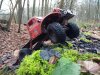 thumbnail_IMG_20210101_142811615.jpg
