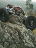 crawlerredimmensionne09.jpg