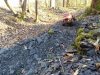 thumbnail_IMG_20220318_170256223.jpg