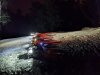 PXL_20220429_204912273.NIGHT.jpg