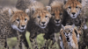 upload_2022-5-8_9-17-50.png