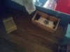 IMG_20220829_204732.jpg