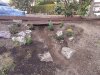 thumbnail_20230405_174522.jpg
