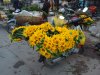 DSC02675.jpg