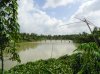 DSC03114.jpg