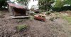 thumbnail_20230626_182245.jpg