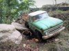 IMG_20230726_150217.jpg