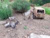 thumbnail_20231001_191522.jpg