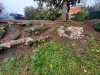 thumbnail_20231112_103257.jpg