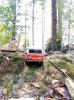 IMG_20231111_132854.jpg