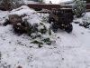 20231203_161808.jpg
