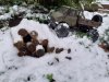 20231203_161842.jpg