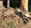 IMG_20240831_130226.jpg