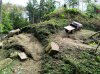 IMG_20241005_175956.jpg