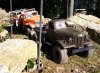 IMG_20241005_121208.jpg