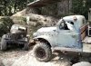 IMG_20241005_160850.jpg