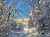 IMG_20241225_090039.jpg