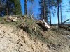 20250311_114723.jpg