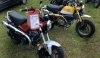 IMG_20250525_161912.jpg