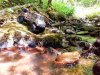 20250716_184417.jpg