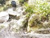 IMG_20220506_145058.jpg