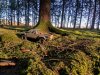 thumbnail_20251226_145254.jpg
