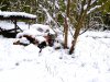 20260102_130110.jpg