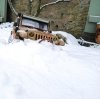 thumbnail_20260110_123557.jpg