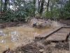 PXL_20260125_150353723.LS_exported_1095.jpg