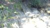 DSC01212.JPG