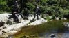 DSC01347.JPG