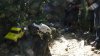 DSC01354.JPG