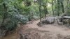 IMG20260620210210.jpeg