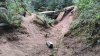 IMG20260620204753.jpeg