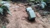 IMG20260620204942.jpeg