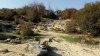 P_20171015_151054_SRES.jpg